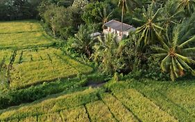 Viveka Inn Guest And Yala Safari